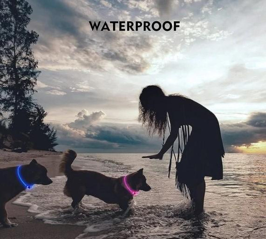 Rechargeable LED Collar, Glowing Pet Collar for Night Safety, and Fashion
