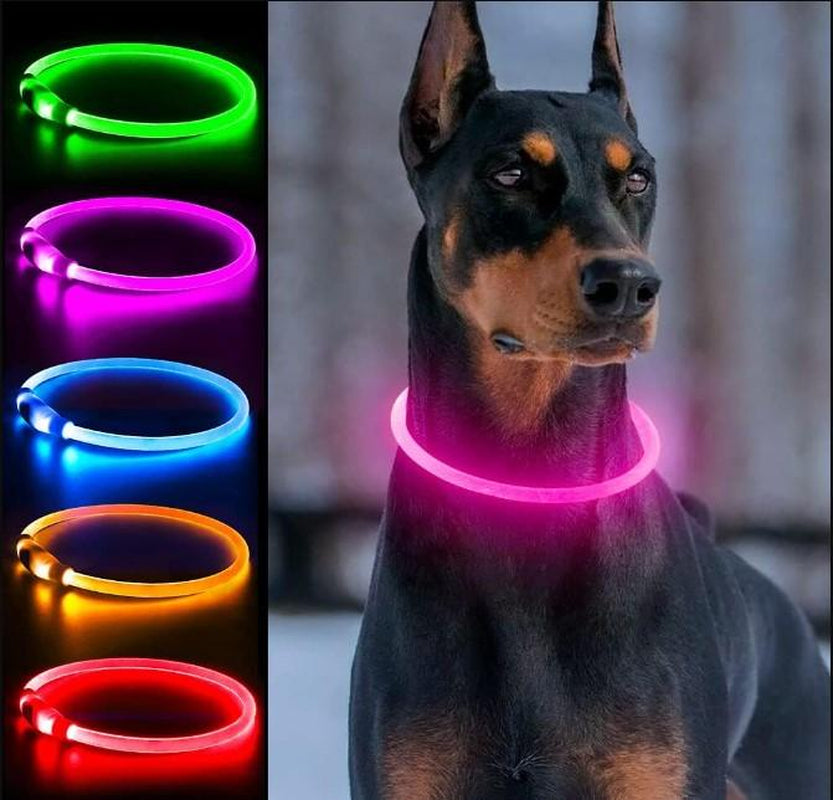 Rechargeable LED Collar, Glowing Pet Collar for Night Safety, and Fashion