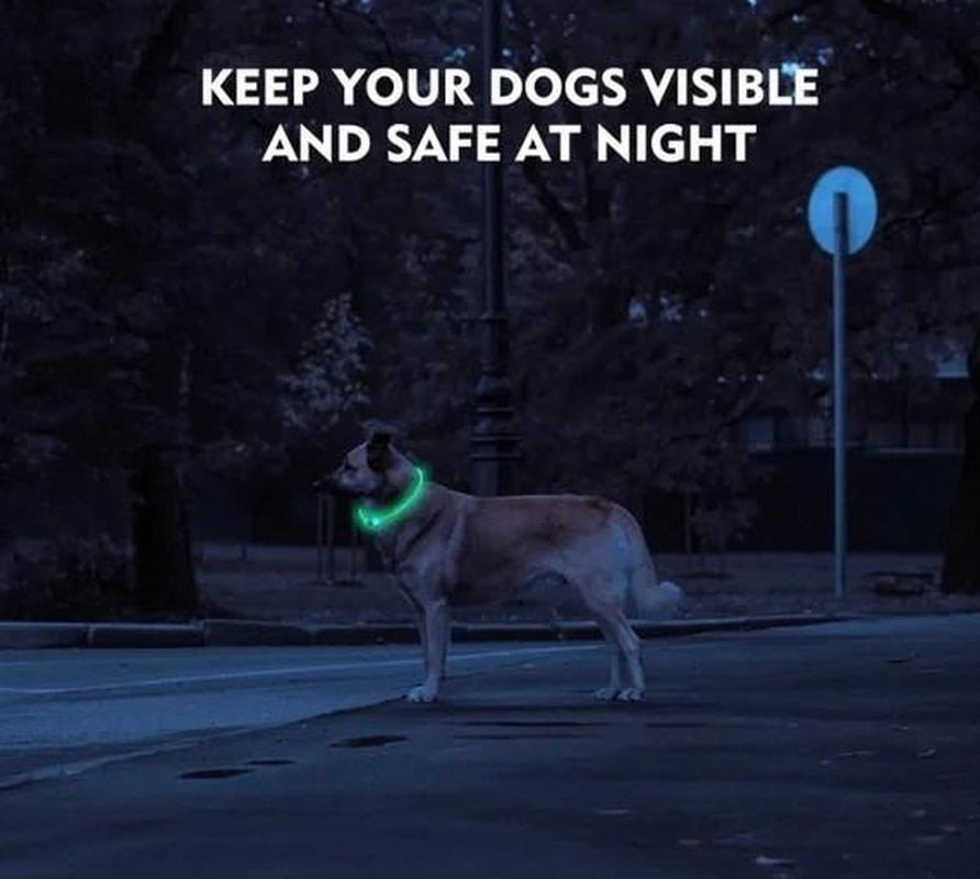 Rechargeable LED Collar, Glowing Pet Collar for Night Safety, and Fashion