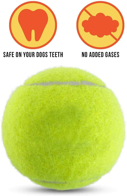 Pack of 6 Tennis Balls