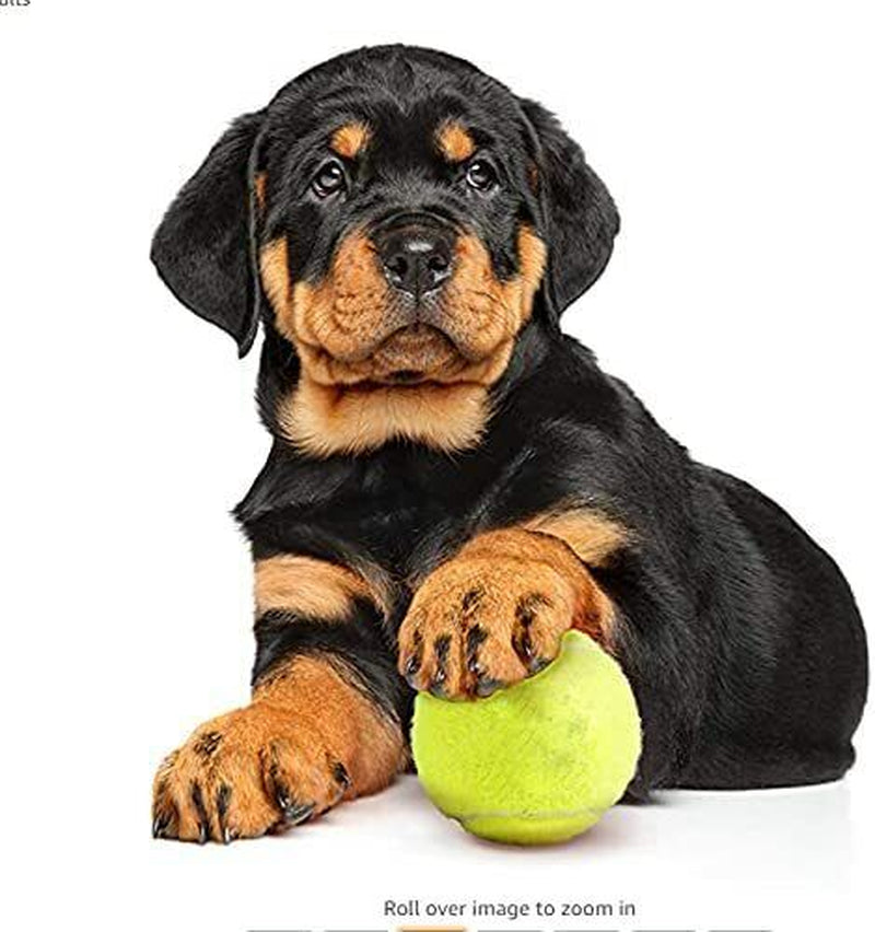Pack of 6 Tennis Balls