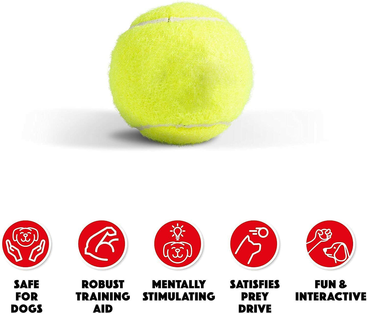 Pack of 6 Tennis Balls