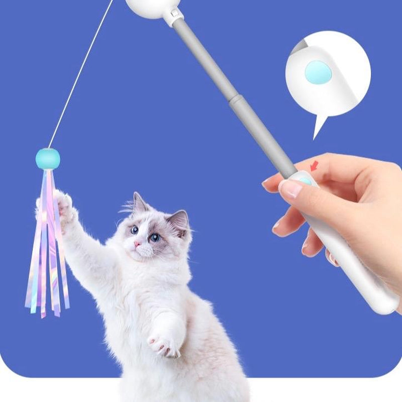 3 in 1 Laser Pointer Cat Teaser Catnip Holder Expandable